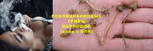 бошки Липки
