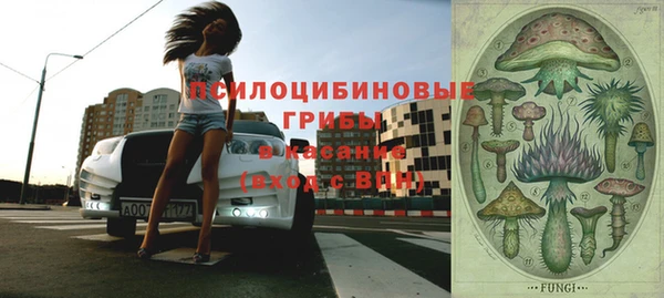 ПСИЛОЦИБИНОВЫЕ ГРИБЫ Лиски