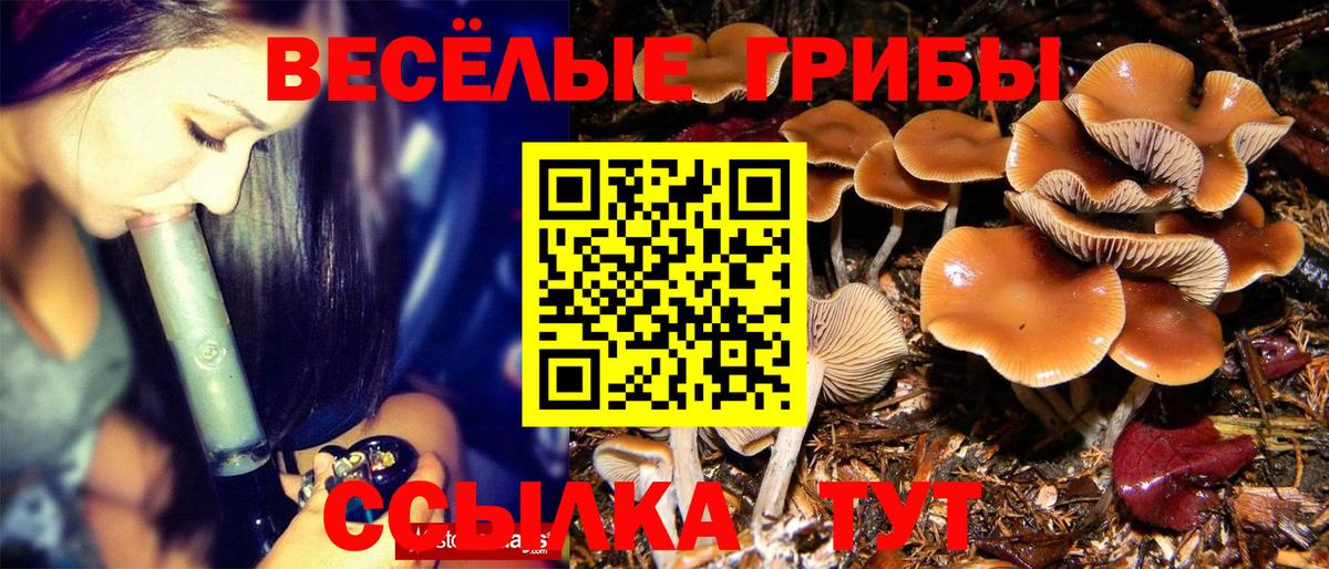 Псилоцибиновые грибы мухоморы Южно-Сахалинск